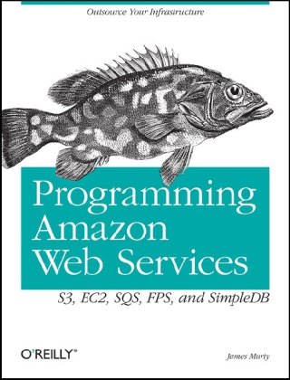 Обложка книги Programming Amazon Web Services: S3, EC2, SQS, FPS, and SimpleDB