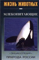Обложка книги Природа России: жизнь животных. Млекопитающие
