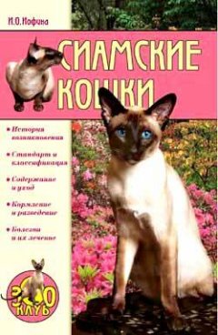 Обложка книги Сиамские кошки