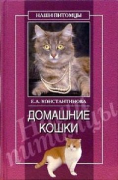 Обложка книги Домашние кошки