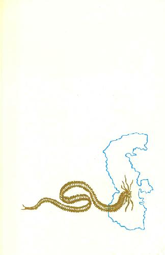 Обложка книги Атлас беспозвоночных Каспийского моря