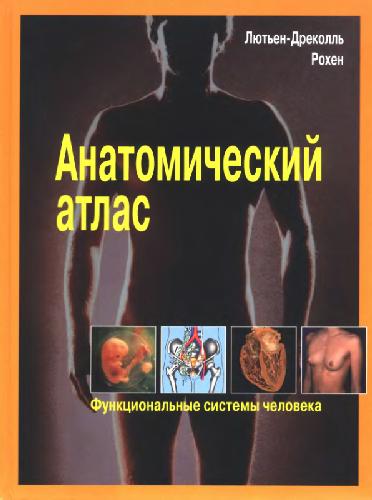 Обложка книги Анатомический атлас. Лютьен
