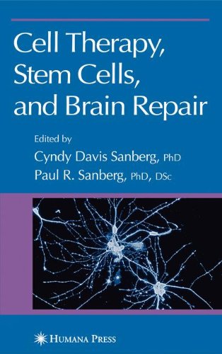 Обложка книги Cell Therapy Stem Cells and Brain Repair