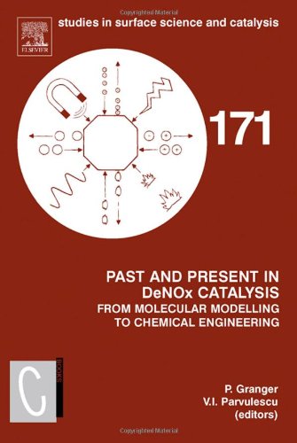 Обложка книги Past and Present in Denox Catalysis: From Molecular Modelling to Chemical Engineering