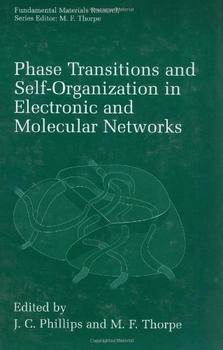 Обложка книги Phase Transitions and Self-Organization in Electronic and Molecular Networks