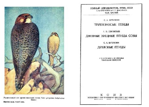 Обложка книги Полный определитель птиц СССР. Том 3