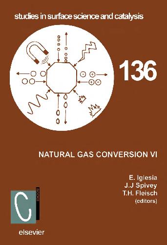 Обложка книги Natural Gas Conversion