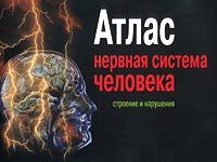 Обложка книги Атлас. Нервная система человека. Строение и нарушения