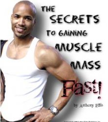 Обложка книги The Secrets to Gaining Muscle Mass - Fast!