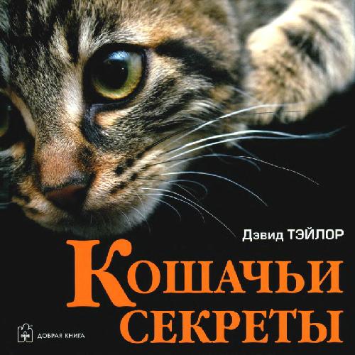 Обложка книги Кошачьи секреты
