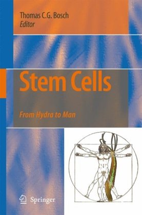 Обложка книги Stem Cell Research and Therapeutics