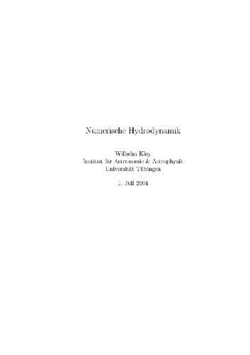Обложка книги Numerische Hydrodynamik 001