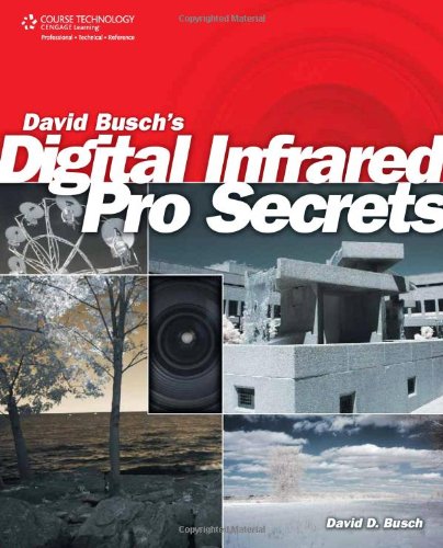 Обложка книги David Busch’s Digital Infrared Pro Secrets