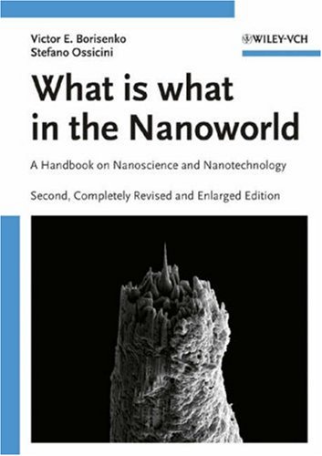 Обложка книги Competing Interactions and Pattern Formation in Nanoworld