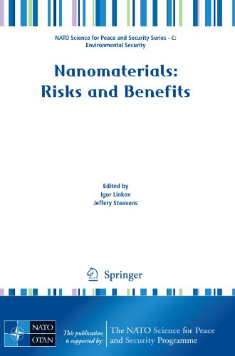 Обложка книги Nanomaterials: Risks and Benefits (NATO Science for Peace and Security Series C: Environmental Security)