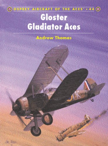 Обложка книги Gloster Gladiator Aces