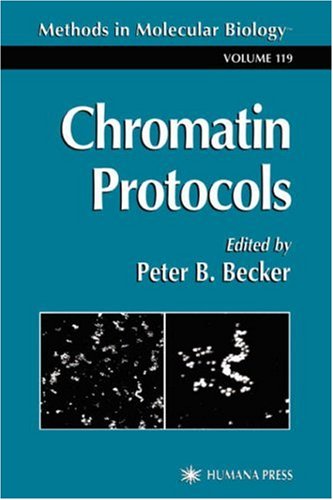 Обложка книги Chromatin Protocols