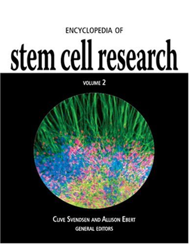 Обложка книги Encyclopedia of Stem Cell Research (2 Vol.Set)