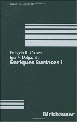 Обложка книги Enriques surfaces