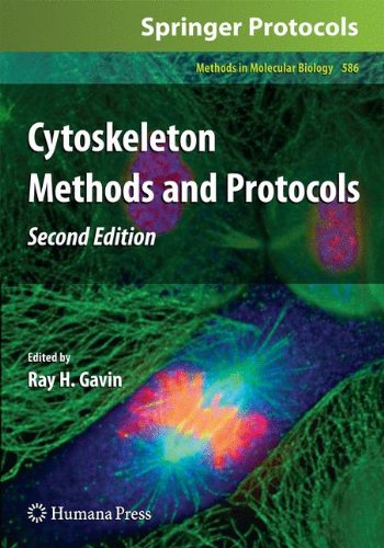 Обложка книги Cytoskeleton Methods and Protocols