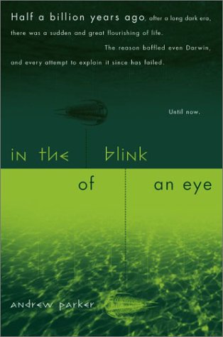 Обложка книги In the Blink of an Eye