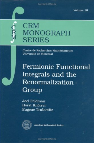 Обложка книги Fermionic Functional Integrals and the Renormalization Group