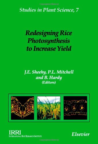 Обложка книги Redesigning Rice Photosynthesis to Increase Yield