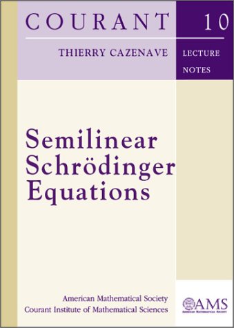 Обложка книги Semilinear Schrodinger Equations