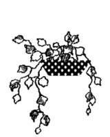 Обложка книги Гидропоника и цветы