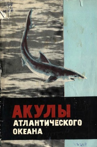 Обложка книги Акулы Атлантического океана (промысел и пищевая продукция)