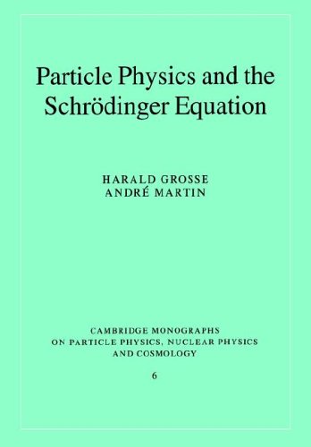 Обложка книги Particle Physics and the Schroedinger Equation