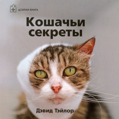 Cats secret. Кошачьи секреты. Тайны кошек. Кошачьи тайны книга.