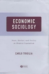 Обложка книги Economic Sociology: State, Market, and Society in Modern Capitalism