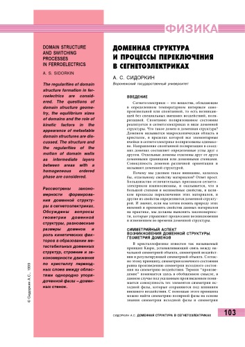 Обложка книги Доменная структура и процессы переключения в сегнетоэлектриках