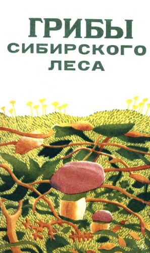 Обложка книги Грибы сибирского леса