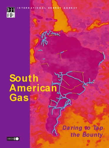 Обложка книги South America Gas: Daring to Tap the Bounty