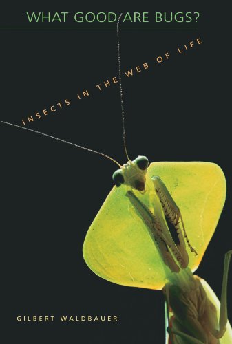 Обложка книги What Good Are Bugs?: Insects in the Web of Life
