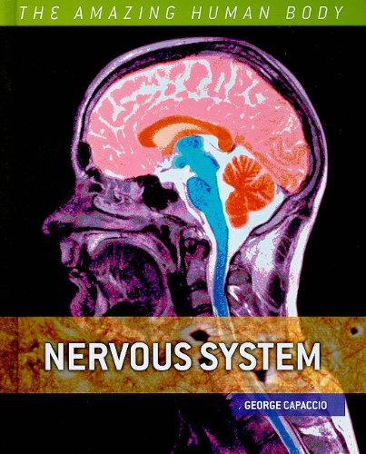 Обложка книги Nervous System (The Amazing Human Body)