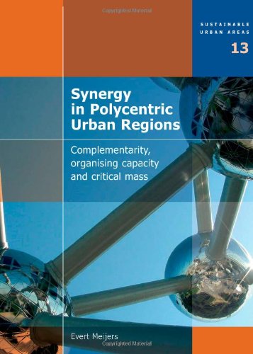 Обложка книги Synergy in Polycentric Urban Regions: Complementarity, Organising Capacity and Critical Mass - Volume 13 Sustainable Urban Areas