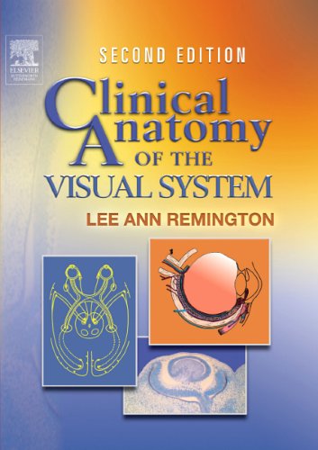 Обложка книги Clinical Anatomy of the Visual System 2nd Edition