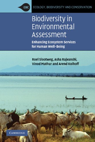Обложка книги Biodiversity in Environmental Assessment: Enhancing Ecosystem Services for Human Well-Being (Ecology, Biodiversity and Conservation)