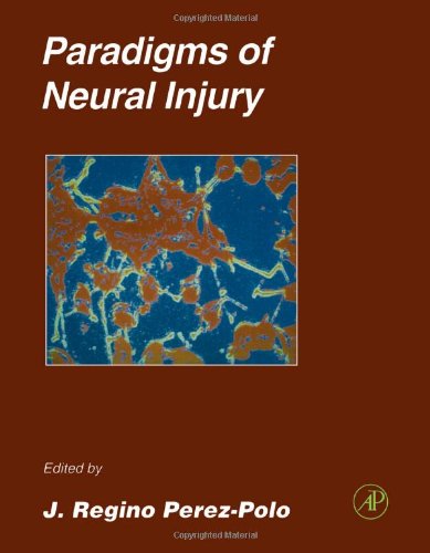 Обложка книги Paradigms of Neural Injury, Volume 30 (Methods in Neurosciences)