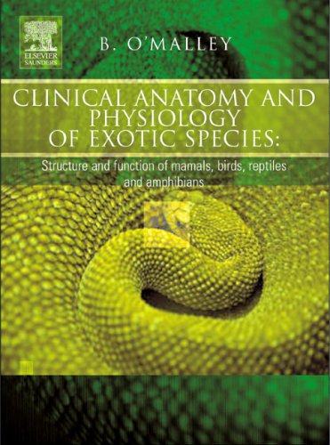 Обложка книги Clinical Anatomy and Physiology of Exotic Species: Structure and function of mammals, birds, reptiles and amphibians