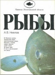 Обложка книги Рыбы / Природа Ленинградской области