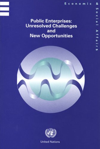 Обложка книги Public Enterprises: Unresolved Challenges and New Opportunities