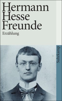 Обложка книги Freunde