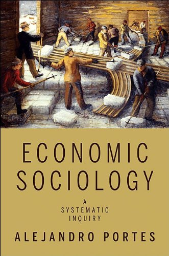Обложка книги Economic Sociology: A Systematic Inquiry
