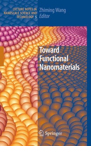 Обложка книги Toward Functional Nanomaterials (Lecture Notes in Nanoscale Science and Technology, Volume 5)