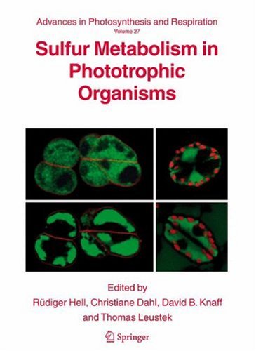 Обложка книги Sulfur Metabolism in Phototrophic Organisms (Advances in Photosynthesis and Respiration)