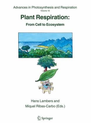 Обложка книги Plant Respiration: From Cell to Ecosystem (Advances in Photosynthesis and Respiration)